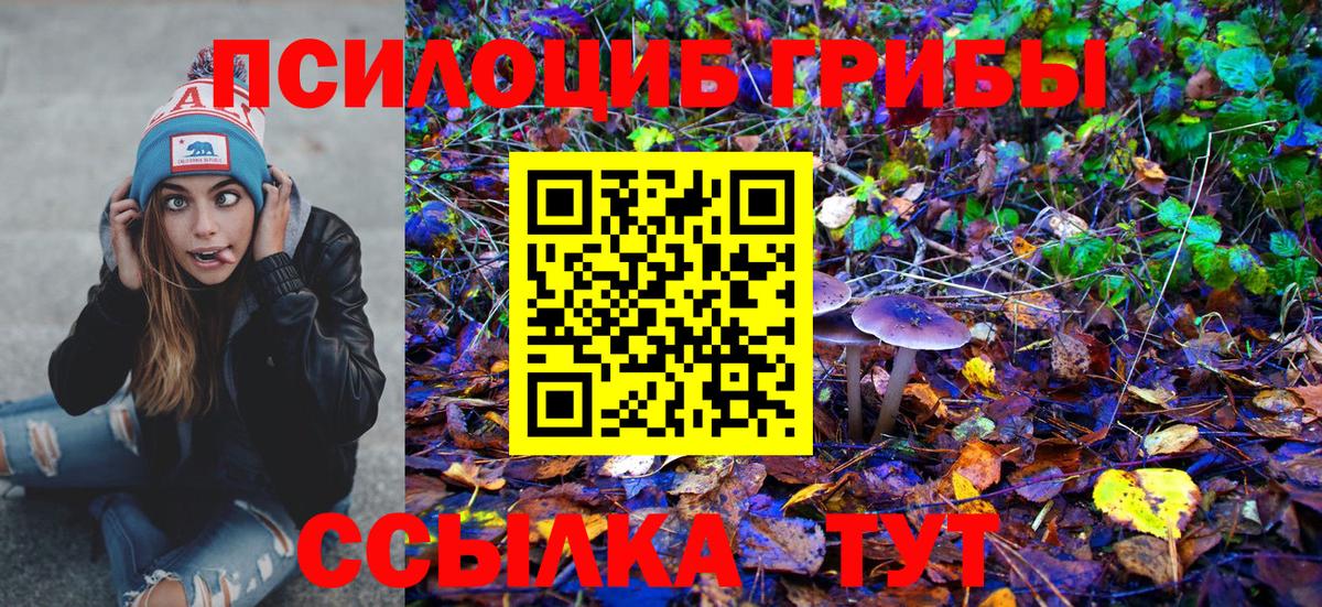Псилоцибиновые грибы мухоморы  Галлюциногенные грибы мицелий  Вход с VPN  Черкесск 