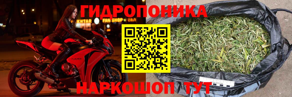 Черкесск  Бошки марихуана планчик  Бошки Шишки LSD WEED  МАРИХУАНА семена  Канабис MAZAR  Вход с VPN 